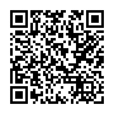 QR code for ZHN313