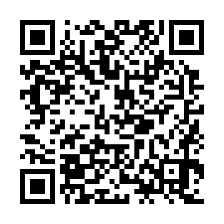 QR code for ZHN370