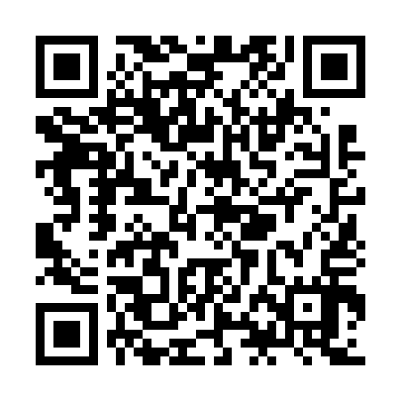 QR code for ZHN617