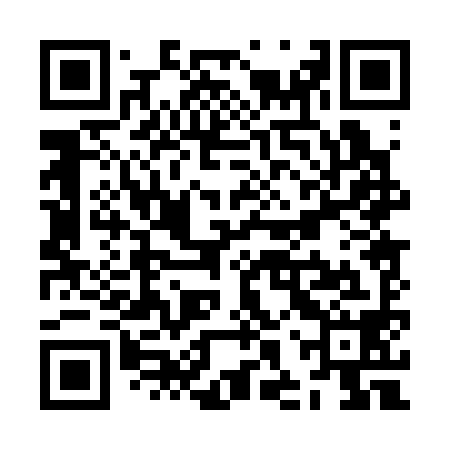 QR code for ZHP398