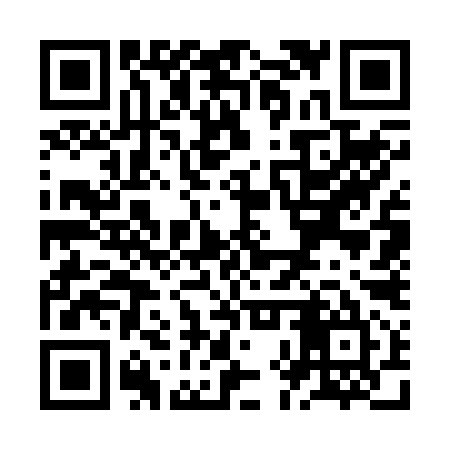 QR code for ZHW295