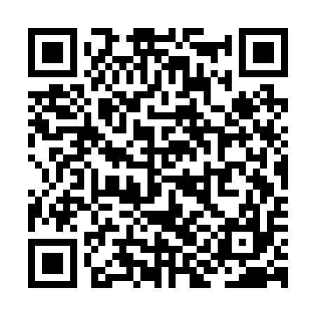 QR code for ZICB17
