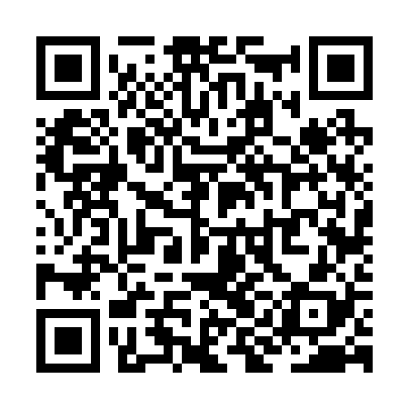 QR code for ZIF228