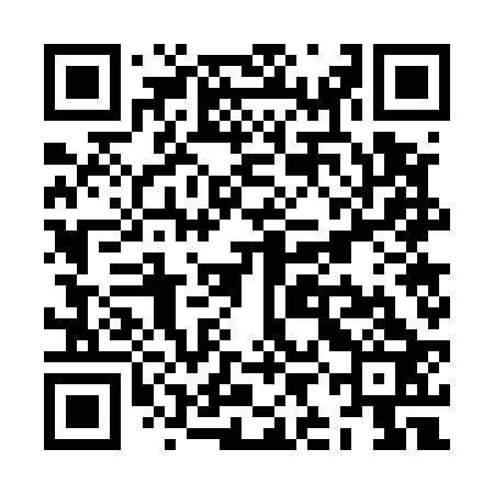 QR code for ZIG523