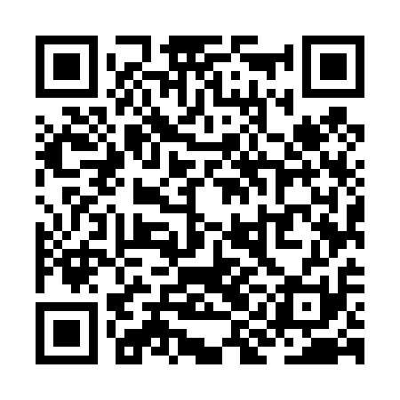 QR code for ZIM411