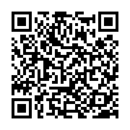 QR code for ZIN529