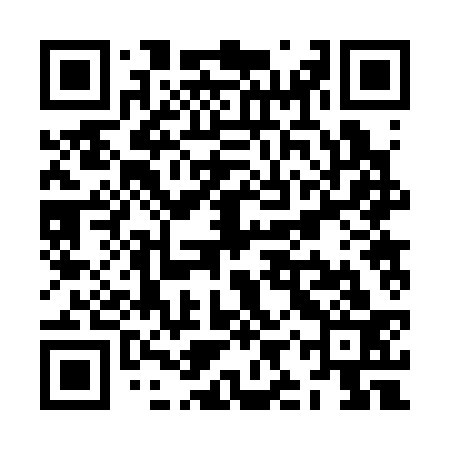 QR code for ZIR333