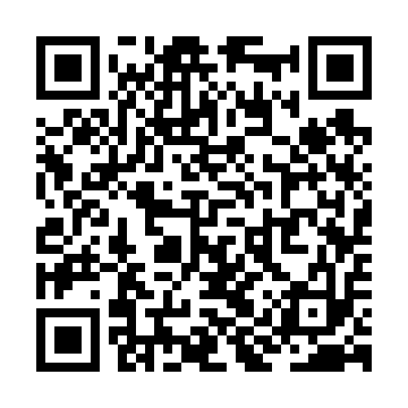 QR code for ZIS613