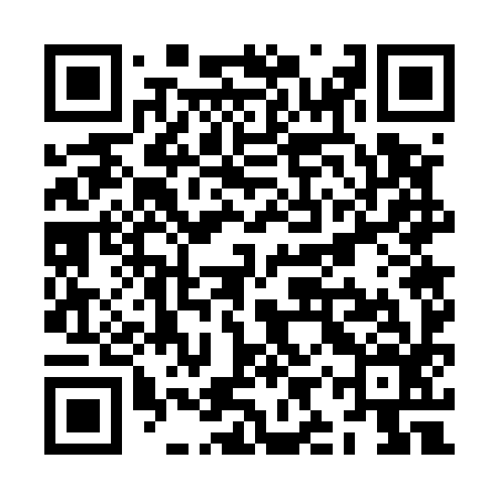QR code for ZIW596