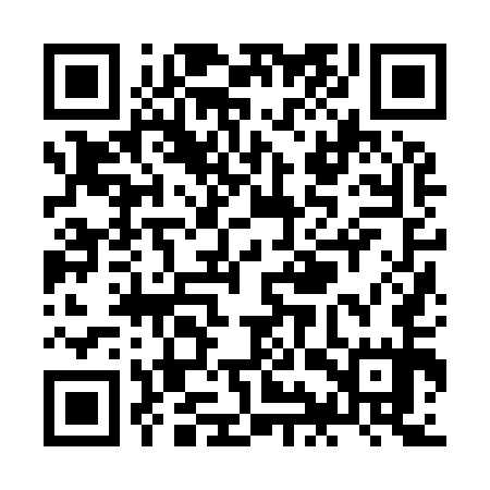 QR code for ZIZ955