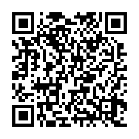 QR code for ZIZR38