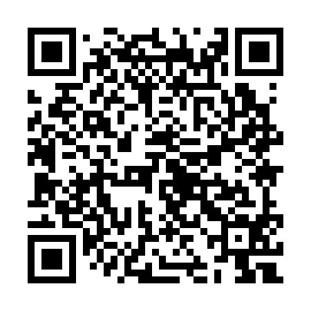 QR code for ZJI394
