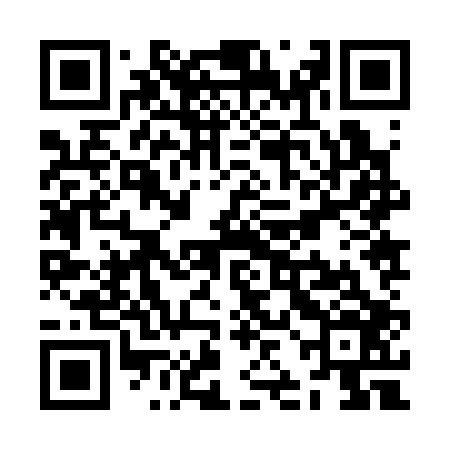 QR code for ZJJ306