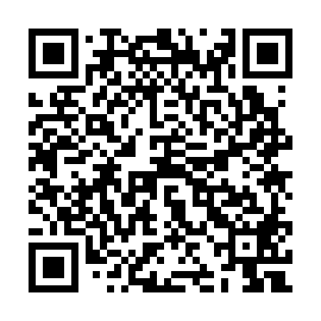 QR code for ZJK388