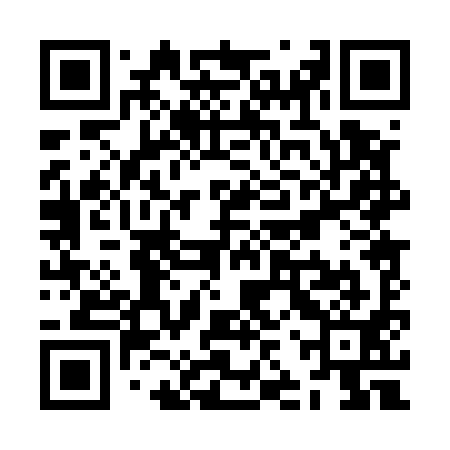 QR code for ZJP591