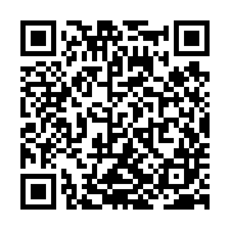 QR code for ZJSV82