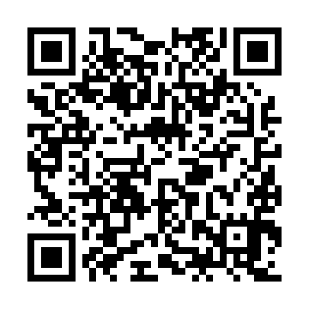 QR code for ZJV095