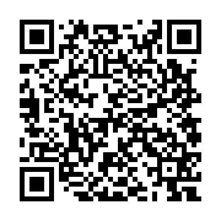 QR code for ZJV161