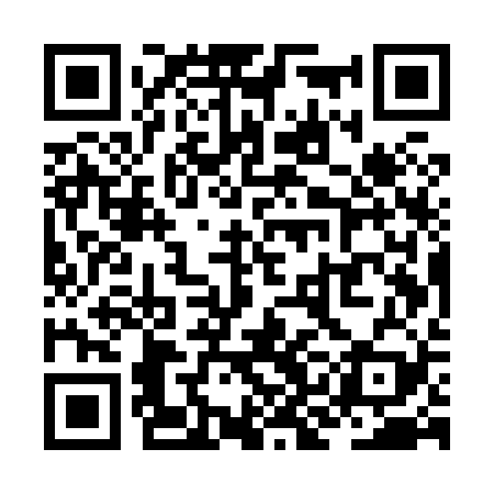 QR code for ZKEX29