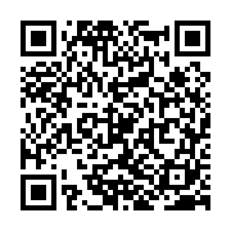QR code for ZLG161