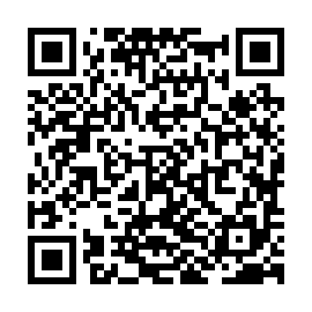 QR code for ZLJ295