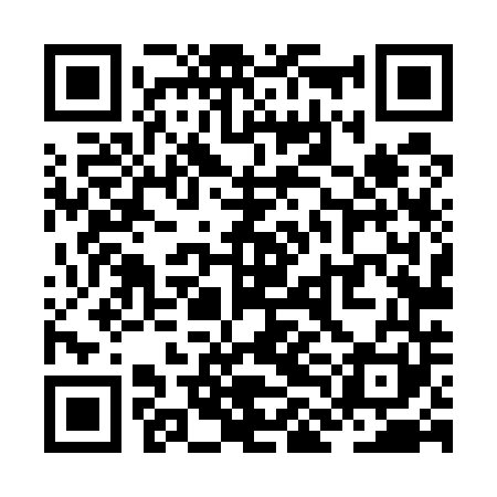 QR code for ZLL541