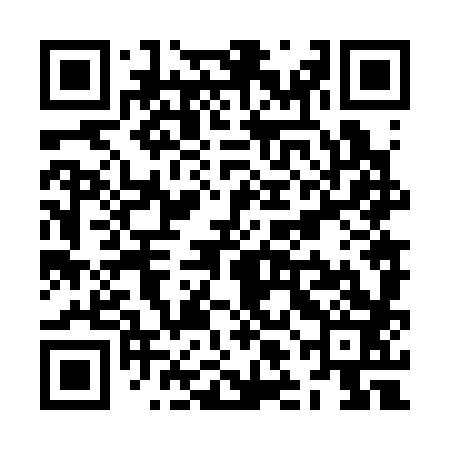 QR code for ZLN383