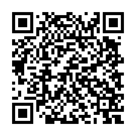 QR code for ZLT463