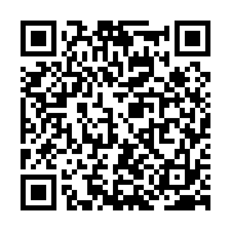 QR code for ZMG133