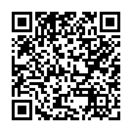 QR code for ZMG381