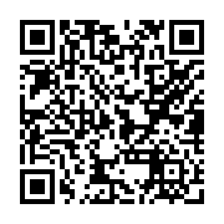 QR code for ZMGX41
