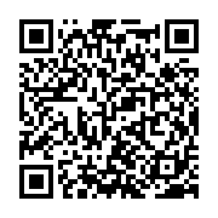 QR code for ZMIZ11