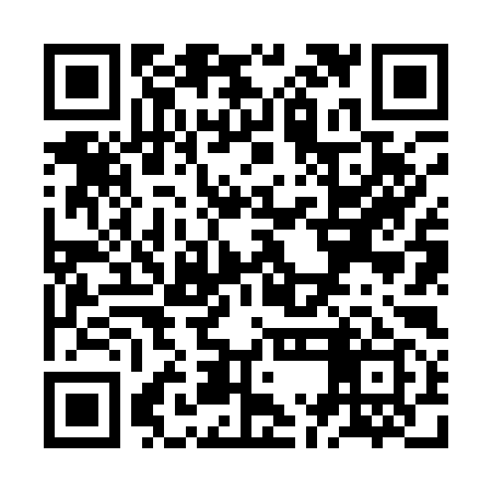 QR code for ZMN199