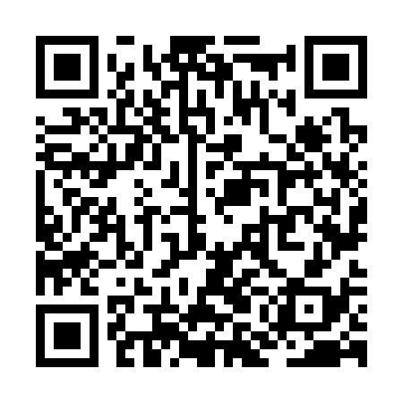 QR code for ZMN338