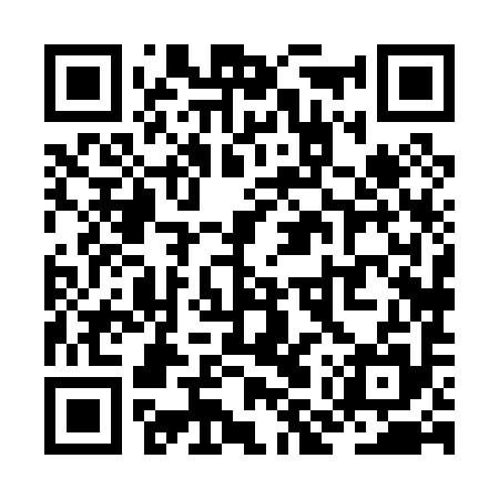 QR code for ZMX095