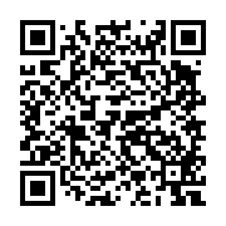 QR code for ZMZ489