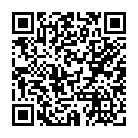 QR code for ZNG385