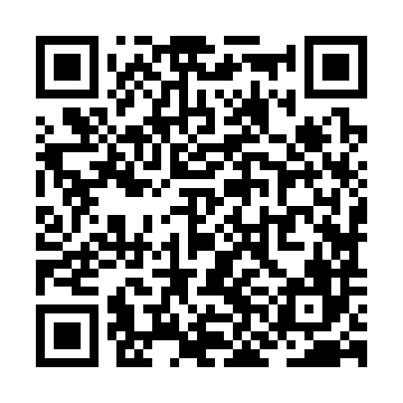 QR code for ZNJ386