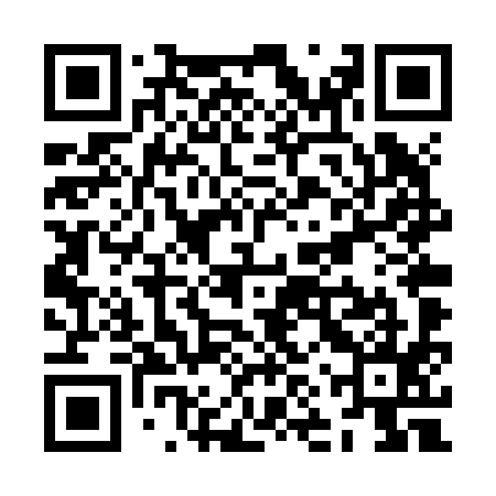 QR code for ZNTZ95