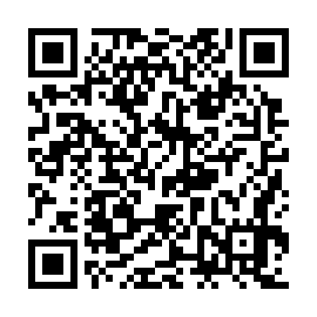 QR code for ZNZ377