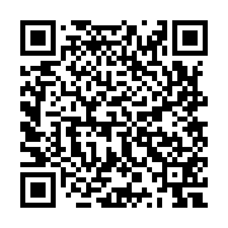 QR code for ZPB951