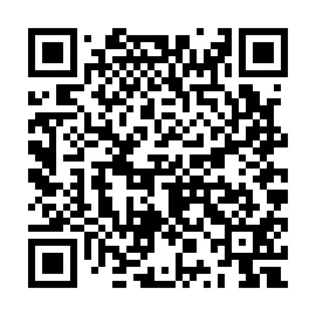 QR code for ZPFA11