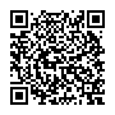 QR code for ZPJ211