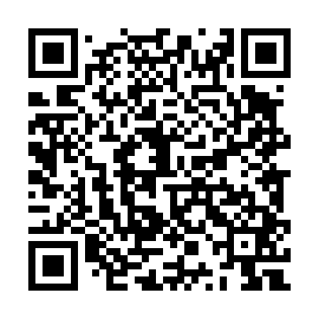 QR code for ZPL441