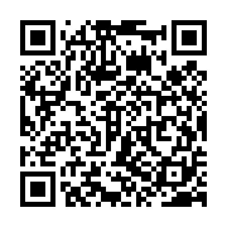 QR code for ZPMT51