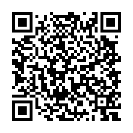 QR code for ZPN051