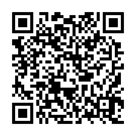 QR code for ZPY306