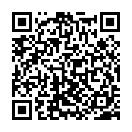 QR code for ZQMA95