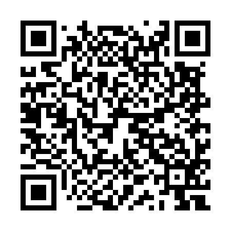 QR code for ZQWM96