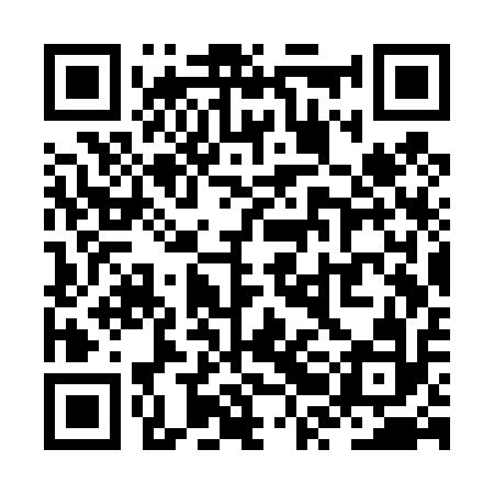 QR code for ZRCT12